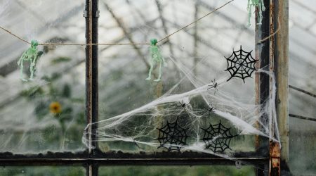 如何确定网站主题风格