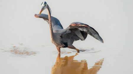 如何企业网站的软文