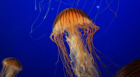 photoshop如何删掉选择区域 透明