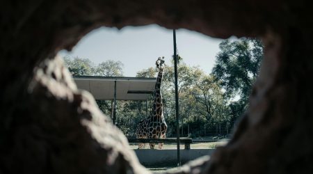 开发crm用什么框架