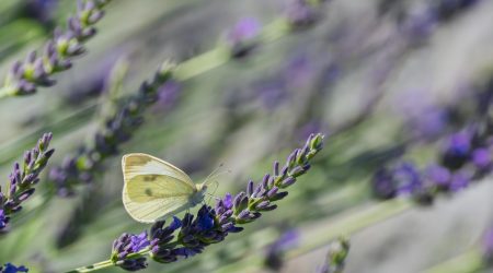 CRM是什么颜色不会
