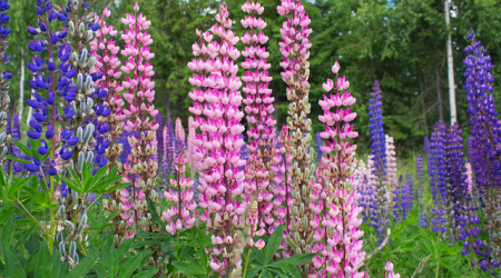 黑名单crm什么意思