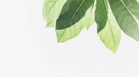 生鲜网站都有哪些