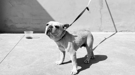 南通口音有哪些