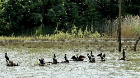 昌黎都有哪些网站