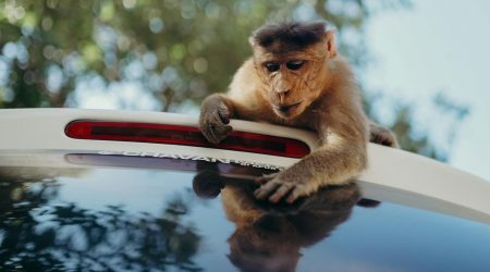 自适应注意哪些