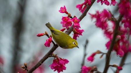 个人外贸平台有哪些