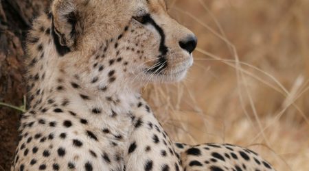 危险网站有哪些