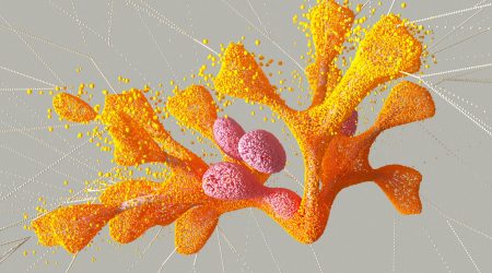 时态虚词有哪些