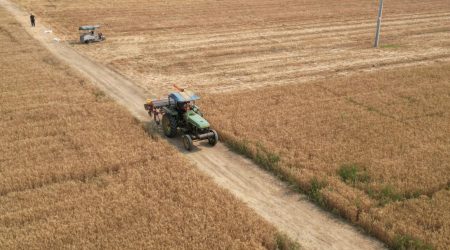 保定有哪些网站