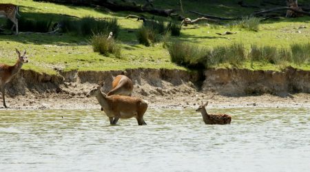 淘宝直播哪些字屏蔽