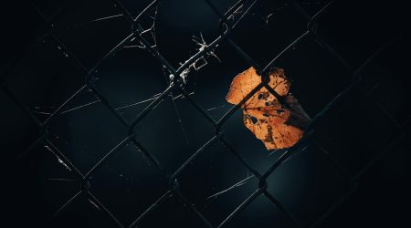 网页链接结构有哪些