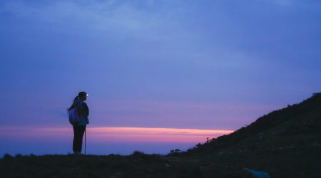 行业网站需要哪些功能