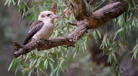 网页标题有哪些