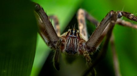 网页功能板块有哪些