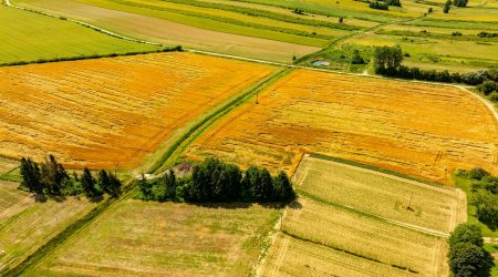 哪些网站是扁平结构