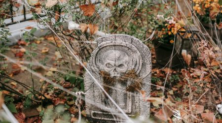 网页有哪些组成元素