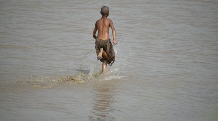 boy和nose中O怎么读音发音