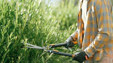 ps拟物的夹子怎么做