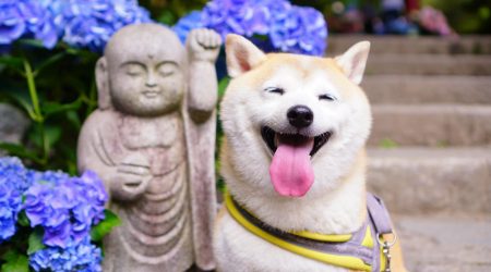 ps里半透明按钮怎么做