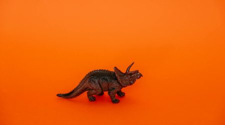 怎么用ps把照片卡通画