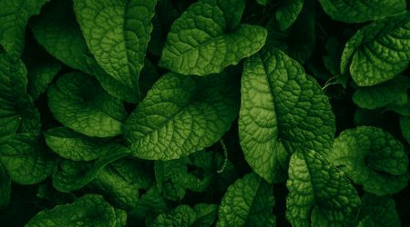 做网站怎么添加背景图片