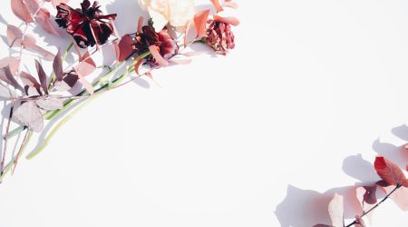 dw两个边框怎么弄