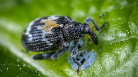 dede自定义表单怎么设置必填项