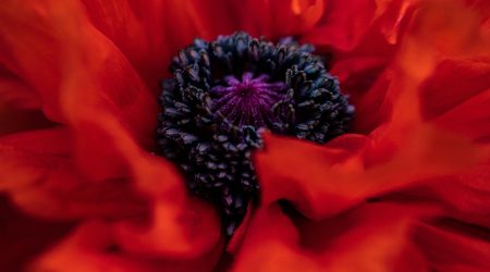 cs6怎么填充前景色