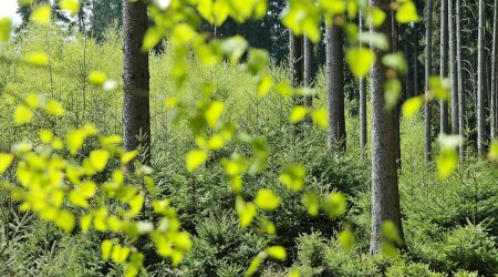 环保网络平台建设怎么做