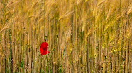 怎么做一个单页