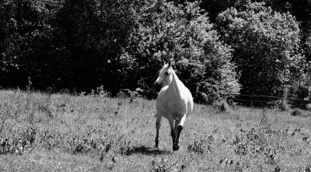 三梯模具怎么样