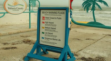 李彩琳英语怎么样