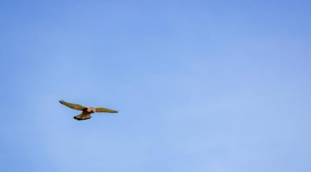 阿里空间怎么样