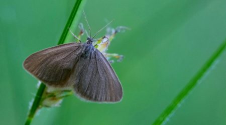 微商置换模式怎么样