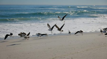 易推宝推广怎么样