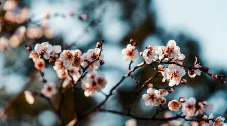 无锡重信怎么样