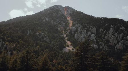 雄峰之源效果怎么样