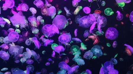 珠海美天美科技怎么样