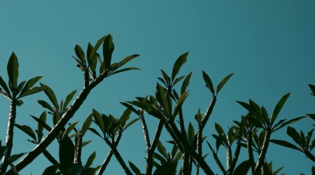 叮咚TOP2代怎么打开机身