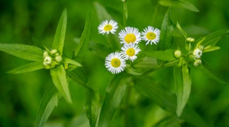 css静态页面里的div怎么实现分页功能