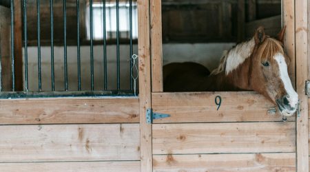 the 9的英语单词怎么说