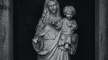 pmg36c质粒来自哪里用英语怎么说