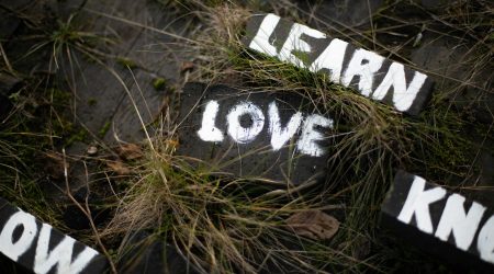 怎么用百度知道做外链