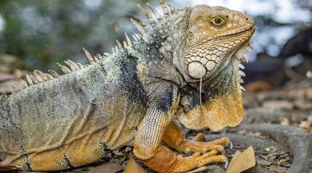 怎么免费推广百度百科