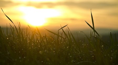 j开头带y的英文单词怎么写