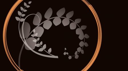 ps中用矢量图形怎么做圆环