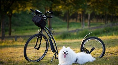 怎么统一网站分辨率