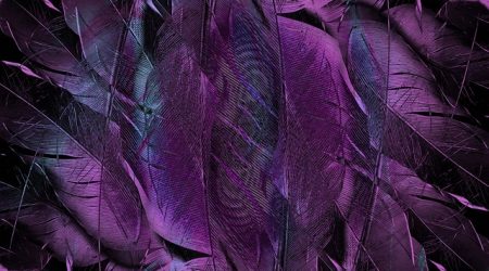 织梦做的表单数据怎么看