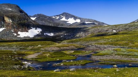 中间有syl的英语单词怎么写